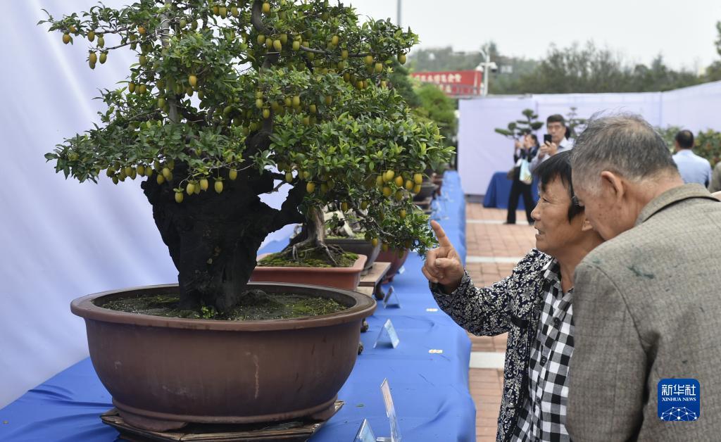通宝网址是多少